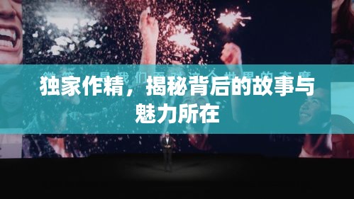 独家作精，揭秘背后的故事与魅力所在