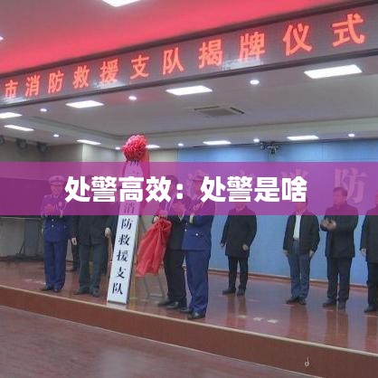 处警高效：处警是啥 