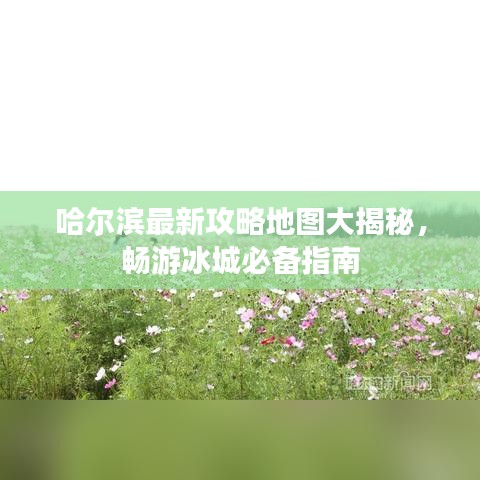 哈尔滨最新攻略地图大揭秘，畅游冰城必备指南