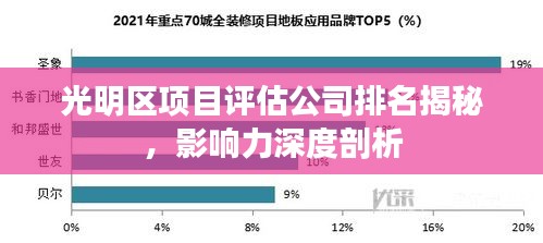 光明区项目评估公司排名揭秘，影响力深度剖析