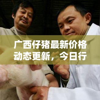 广西仔猪最新价格动态更新，今日行情一网打尽！