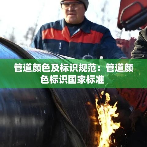 一毫不苟 第2页