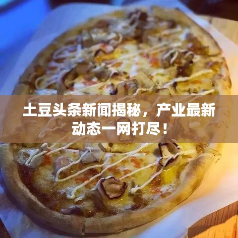 土豆头条新闻揭秘，产业最新动态一网打尽！