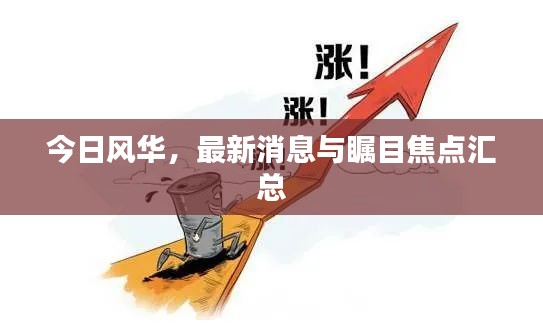 今日风华，最新消息与瞩目焦点汇总