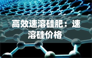 尽心竭力 第2页