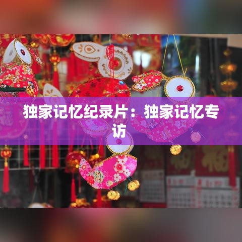 独家记忆纪录片：独家记忆专访 