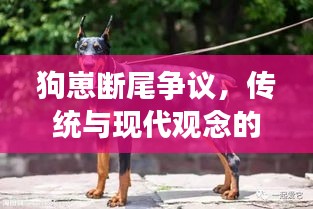 狗崽断尾争议，传统与现代观念的对撞