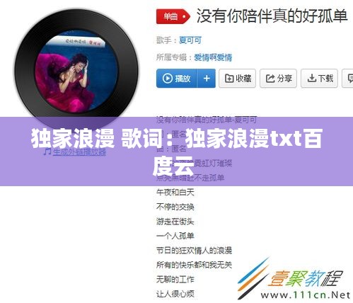 独家浪漫 歌词：独家浪漫txt百度云 