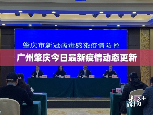 广州肇庆今日最新疫情动态更新