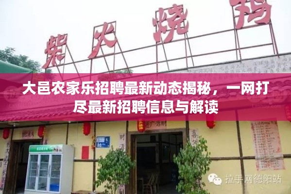 大邑农家乐招聘最新动态揭秘，一网打尽最新招聘信息与解读