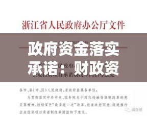 政府资金落实承诺：财政资金承诺函 
