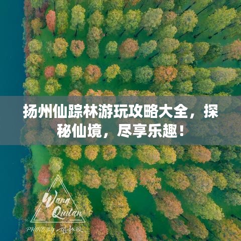 扬州仙踪林游玩攻略大全，探秘仙境，尽享乐趣！