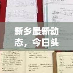新乡最新动态，今日头条一网打尽！