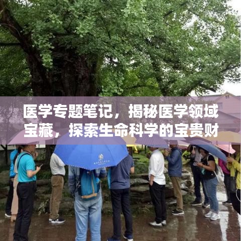 医学专题笔记，揭秘医学领域宝藏，探索生命科学的宝贵财富