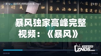 暴风独家高峰完整视频：《暴风》 