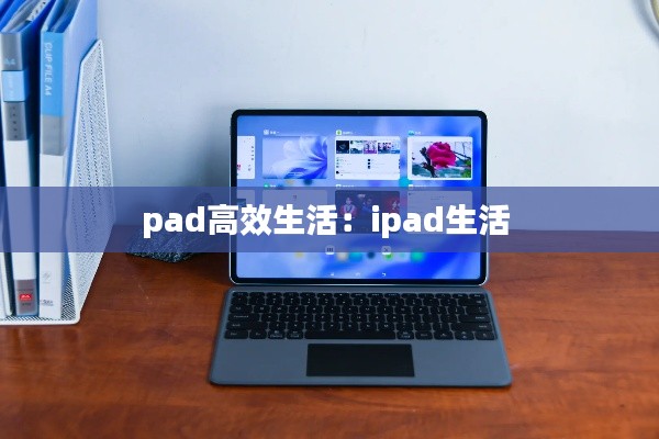 pad高效生活：ipad生活 