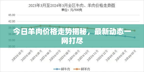 今日羊肉价格走势揭秘，最新动态一网打尽