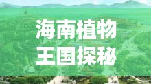 海南植物王国探秘之旅，绝美攻略与地图全解析