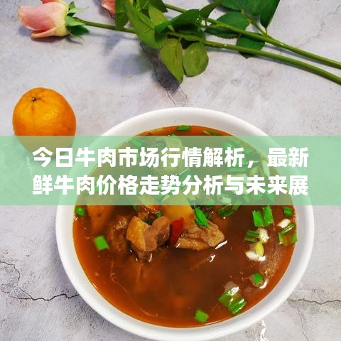 今日牛肉市场行情解析，最新鲜牛肉价格走势分析与未来展望