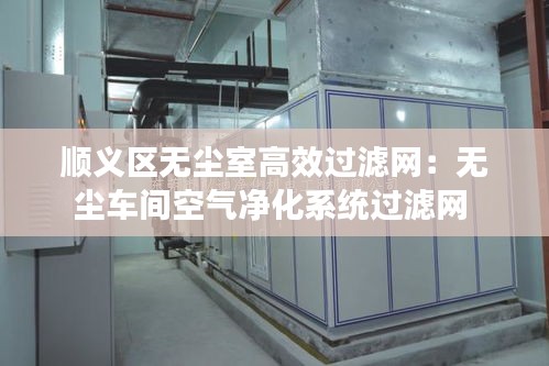 顺义区无尘室高效过滤网：无尘车间空气净化系统过滤网 