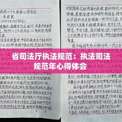 省司法厅执法规范：执法司法规范年心得体会 
