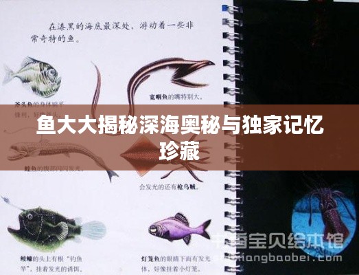 鱼大大揭秘深海奥秘与独家记忆珍藏