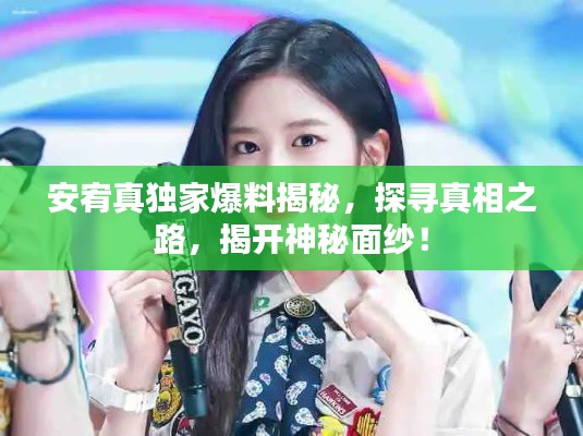 安宥真独家爆料揭秘，探寻真相之路，揭开神秘面纱！