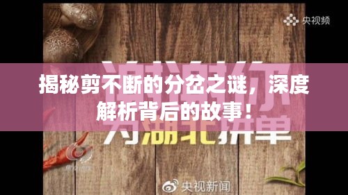 揭秘剪不断的分岔之谜，深度解析背后的故事！