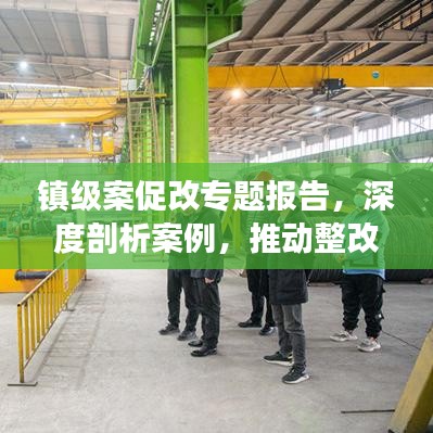 镇级案促改专题报告，深度剖析案例，推动整改落实