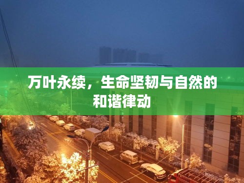万叶永续，生命坚韧与自然的和谐律动