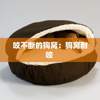 咬不断的狗窝：狗窝耐咬 
