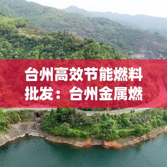 台州高效节能燃料批发：台州金属燃料电池研究中心 