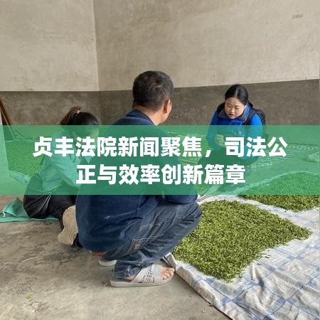 贞丰法院新闻聚焦，司法公正与效率创新篇章