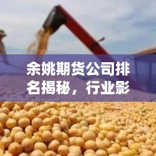 余姚期货公司排名揭秘，行业影响力不容小觑