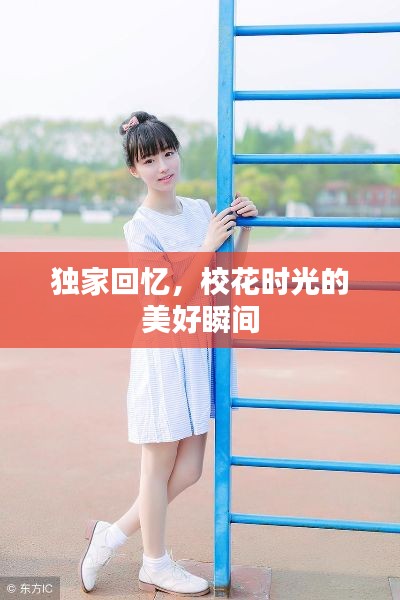 独家回忆，校花时光的美好瞬间