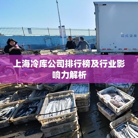上海冷库公司排行榜及行业影响力解析