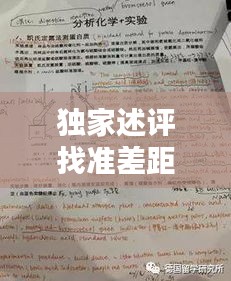 独家述评找准差距冲刺：找准差距抓整改心得体会 