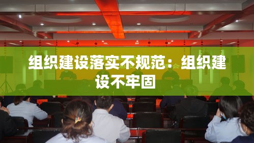 组织建设落实不规范：组织建设不牢固 
