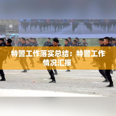 特警工作落实总结：特警工作情况汇报 