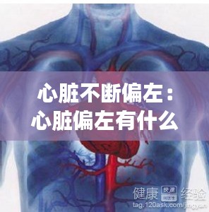 心脏不断偏左：心脏偏左有什么症状 
