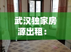武汉独家房源出租： 