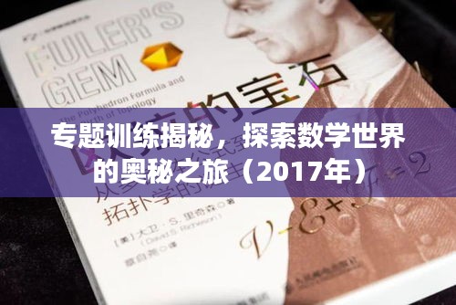 专题训练揭秘，探索数学世界的奥秘之旅（2017年）