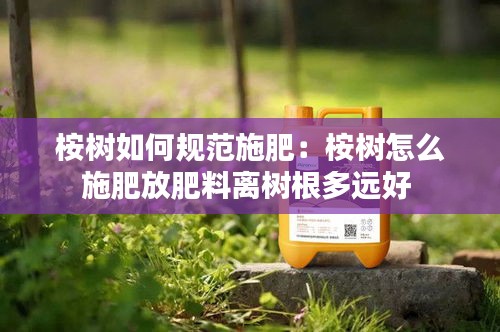 桉树如何规范施肥：桉树怎么施肥放肥料离树根多远好 