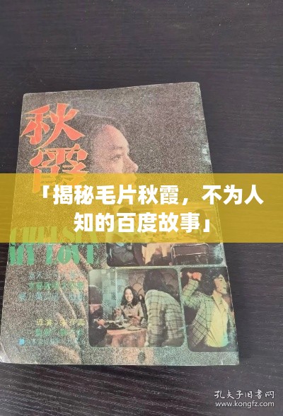 「揭秘毛片秋霞，不为人知的百度故事」