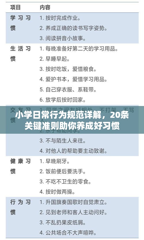 小学日常行为规范详解，20条关键准则助你养成好习惯