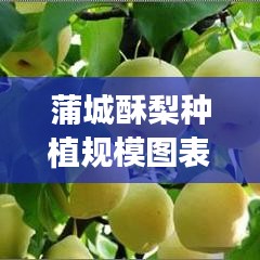 蒲城酥梨种植规模图表解析，最新数据揭示种植趋势