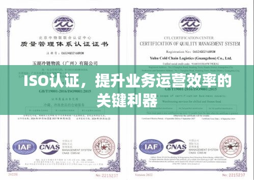 神气十足 第2页