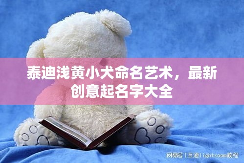 泰迪浅黄小犬命名艺术，最新创意起名字大全