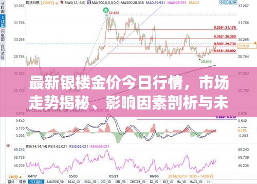 最新银楼金价今日行情，市场走势揭秘、影响因素剖析与未来展望