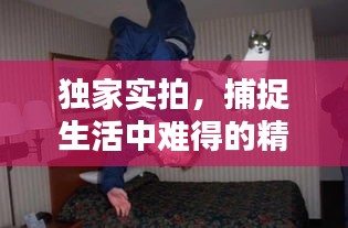独家实拍，捕捉生活中难得的精彩瞬间
